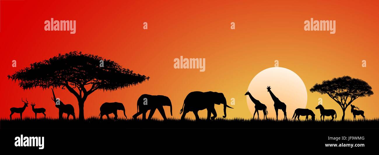 Red african savannah sunset with elephant Stock Vector Images - Alamy