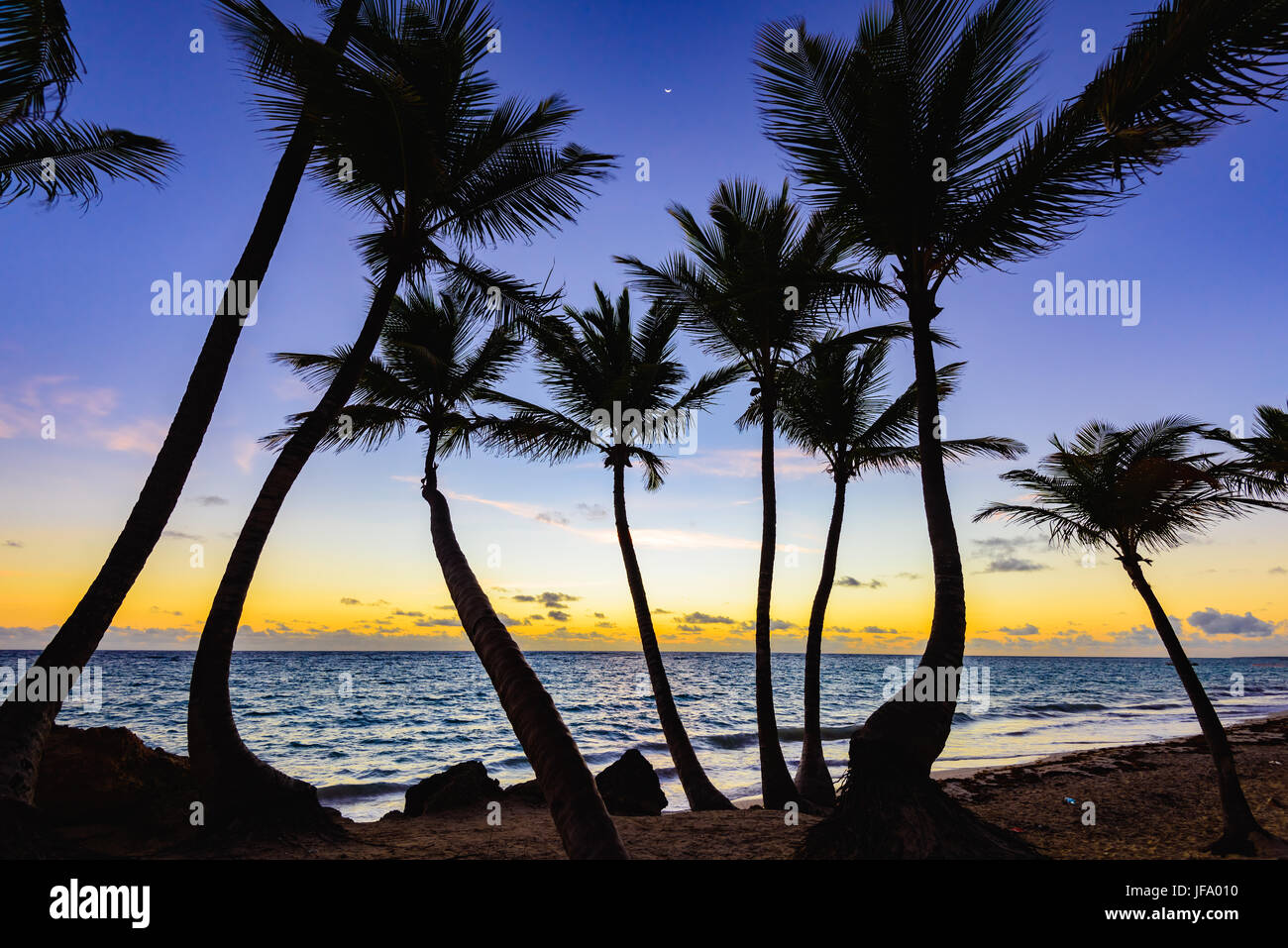 sunset silhouette of palm trees Stock Photo - Alamy