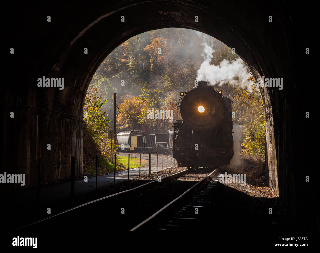 Steam locomotive enters tunnel Stock Photo