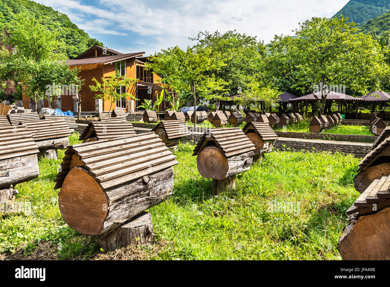 Hives in an apiary Stock Photo