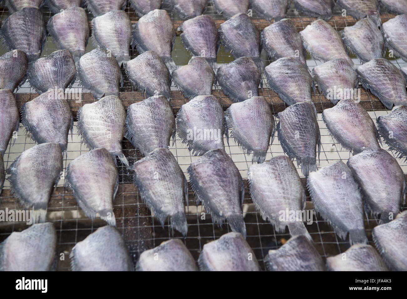 THAILAND BANGKOK THEWET FISCH MARKET Stock Photo