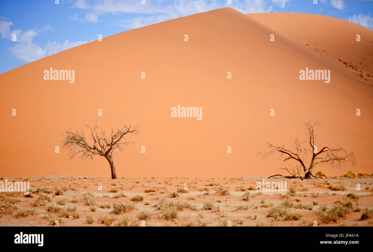 sand dune Stock Photo
