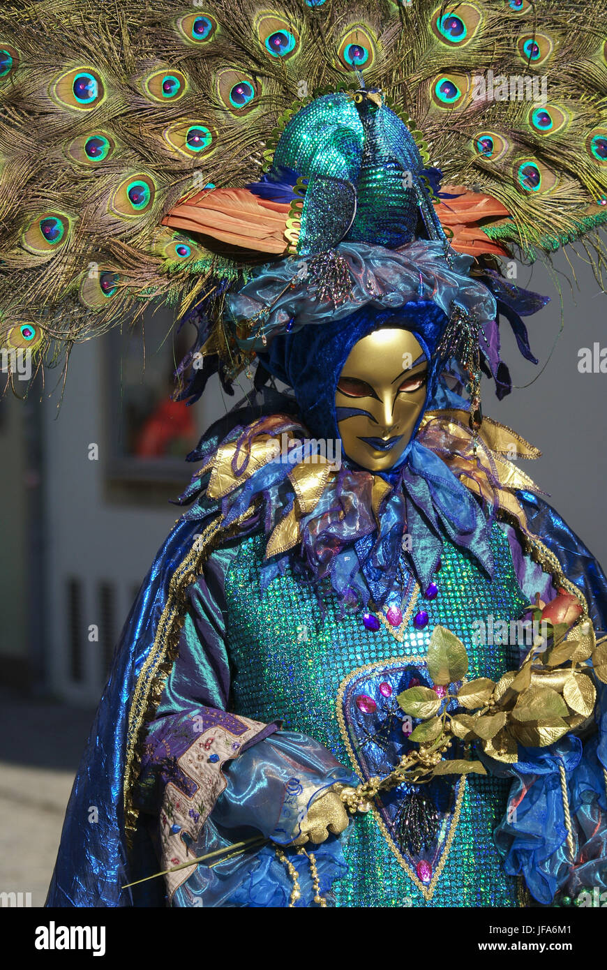 Peacock Masquerade in Schwaebisch Hall Stock Photo