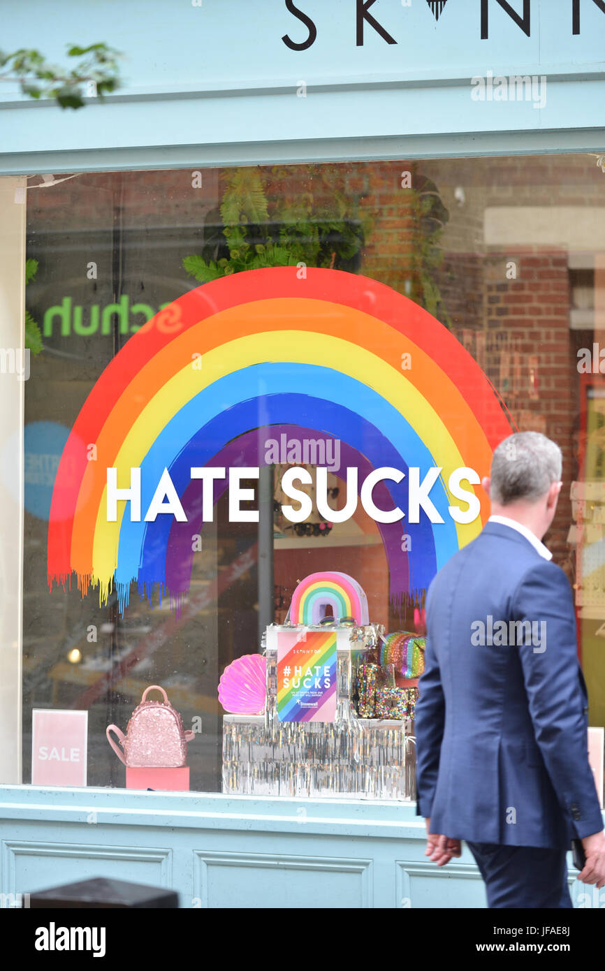 Pride windows