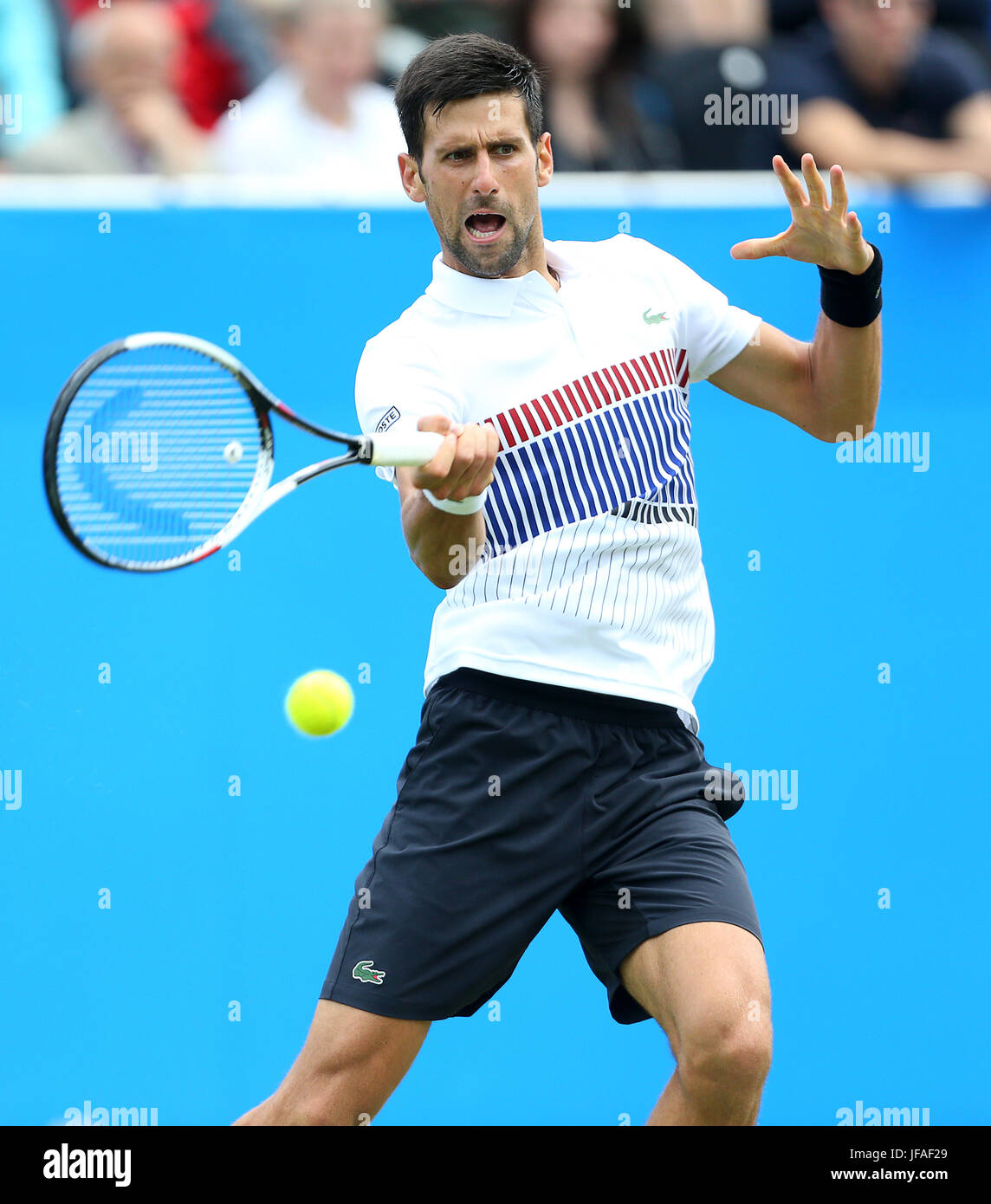 Eastbourne, UK. 30th June, 2017. Novak Djokovic of Serbia in action against Daniil Medvedev of Russia in the semi final during day Six of the Aegon International Eastbourne on June 30, 2017 in Eastbourne, England Credit: Paul Terry Photo/Alamy Live News Stock Photo