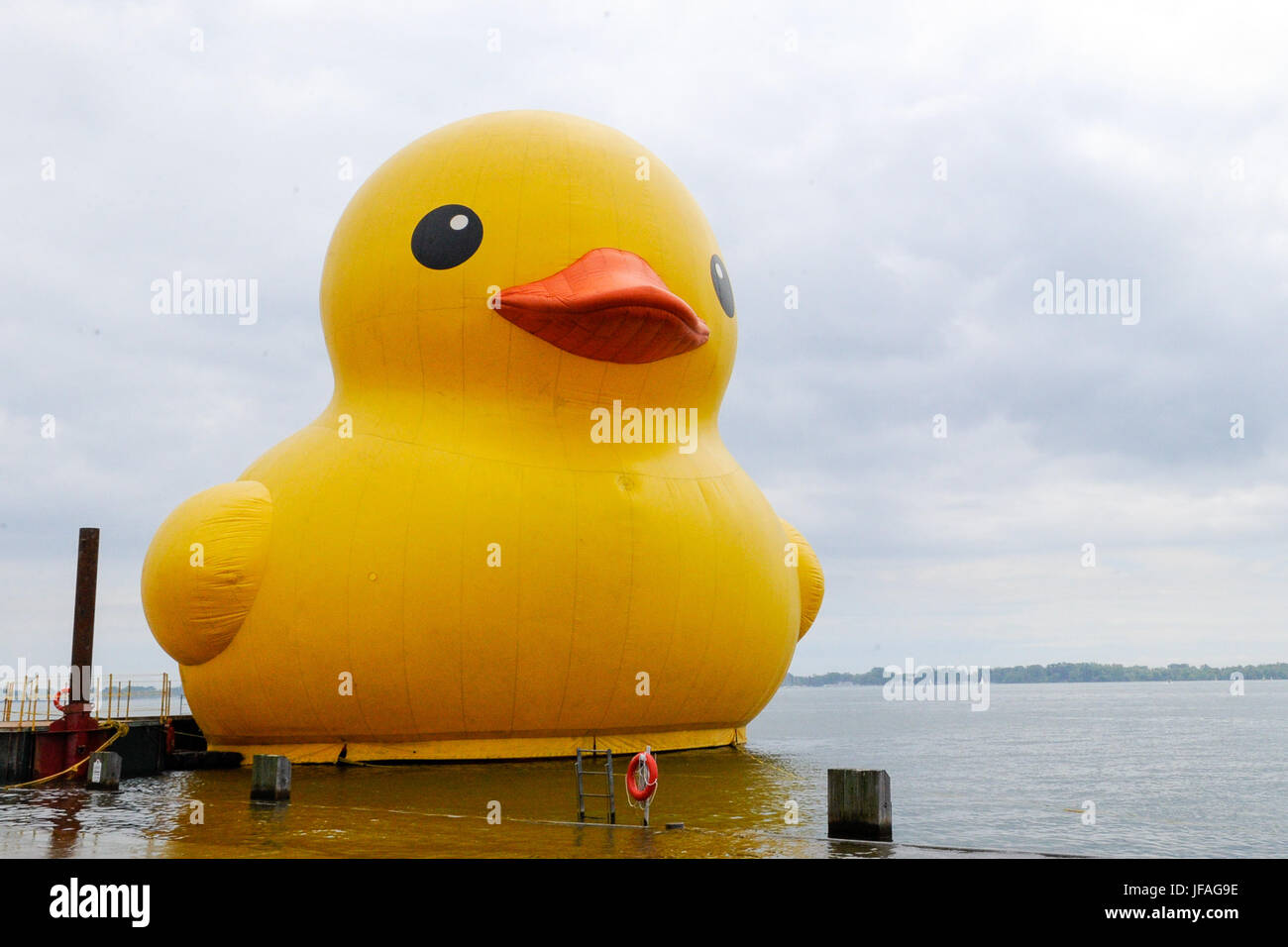 Toronto, Canada. 30th June 2017. The World's largest Rubber Duck make it's Canadian debut on Toronto's waterfront to celebrate Canada 150th Birthday at the Redpath Waterfront Festival from July 1 to July 3, 2017. Dominic Chan/EXimages/Alamy Live News Stock Photo