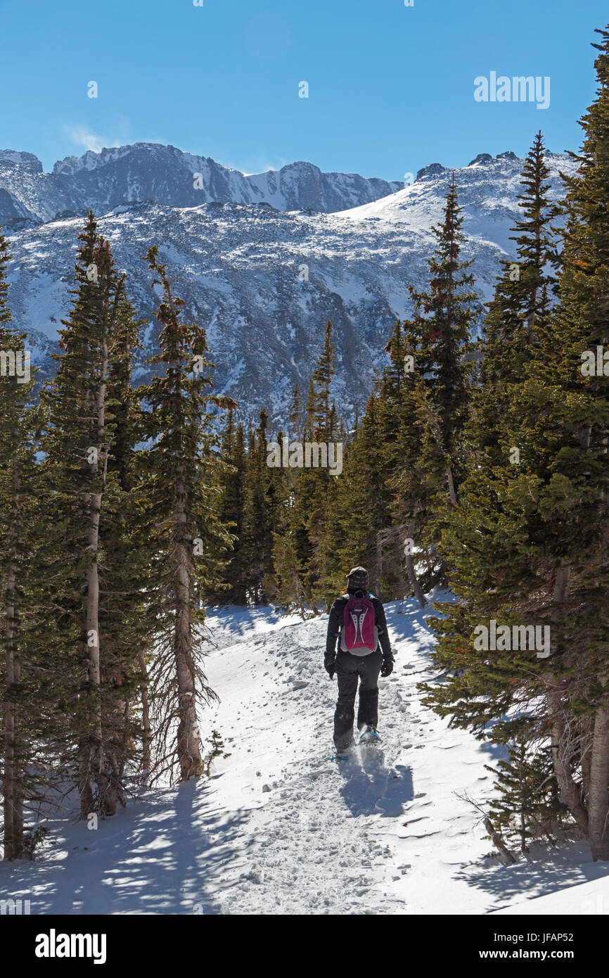 Snowshoeing along Flat Top Mountain Trail in Rocky Mountain National