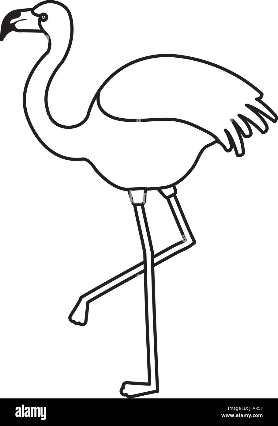 exotic flamingo tropical bird vector illustration design Stock Vector
