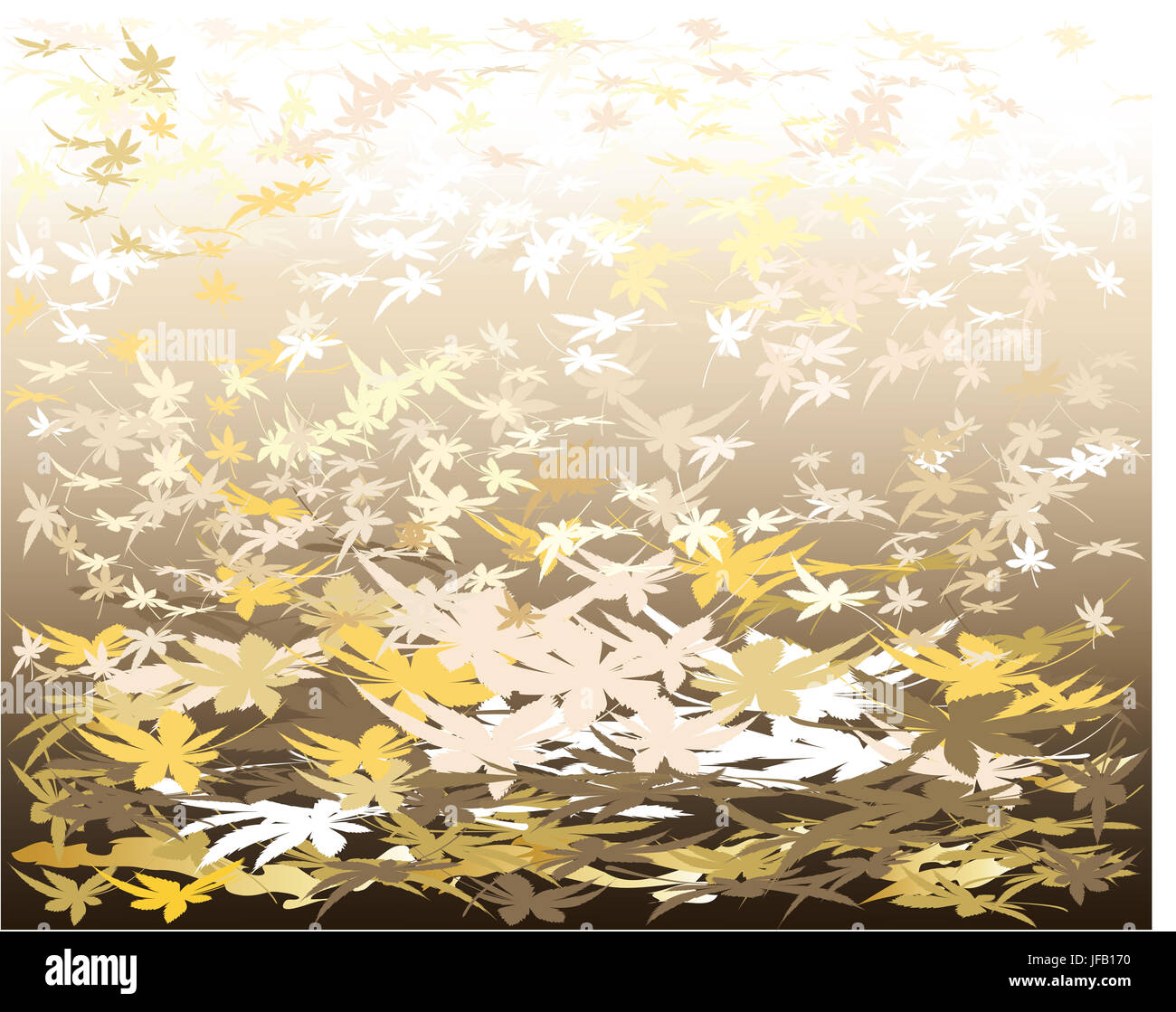 Autumn maples leaves with different shades of colors Stock Photo Alamy