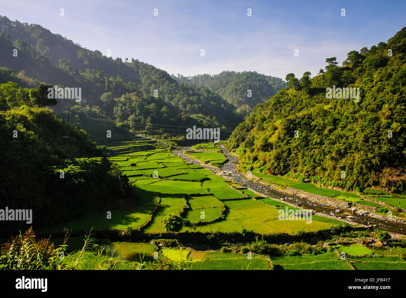 Along the rice terraces from Bontoc to Banaue, Luzon, Philippines Stock Photo