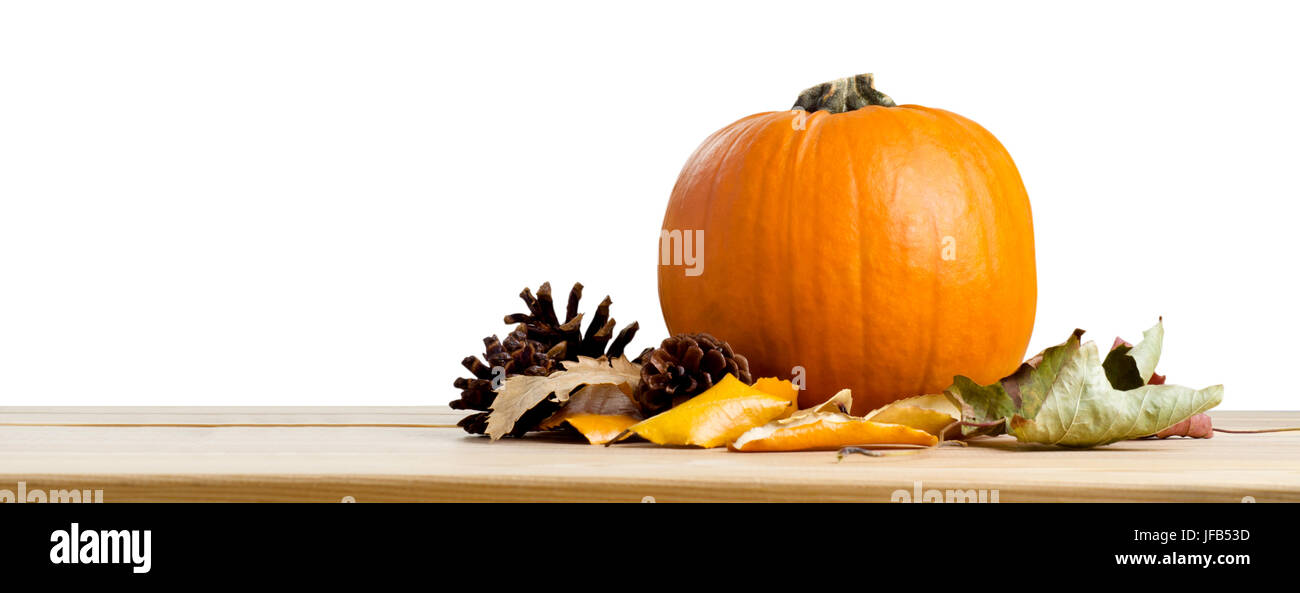 A banner style still life a pumpkin. Autumn leaves and fir cones on a wooden table, isolated against a white background. Stock Photo