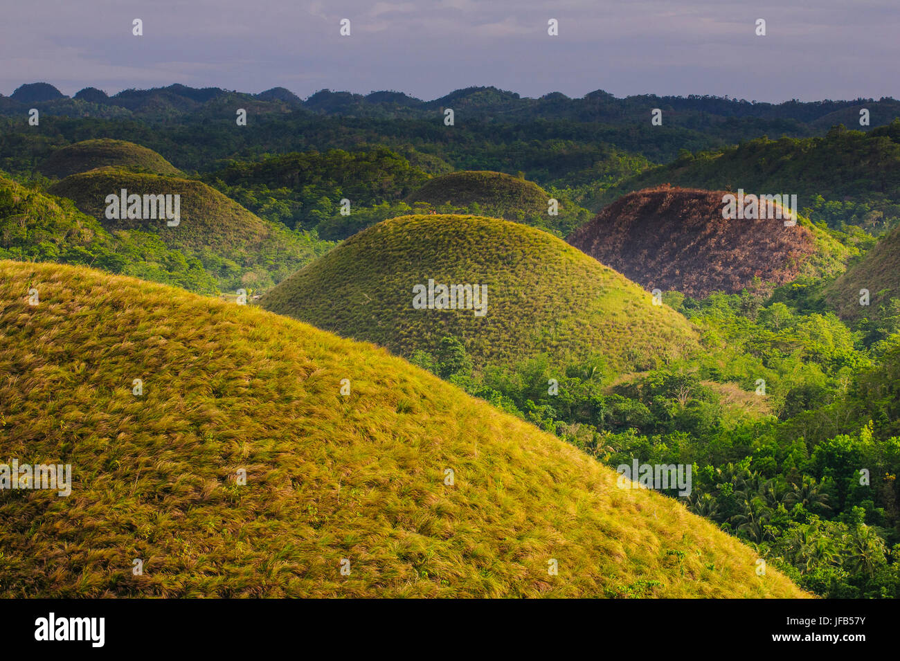 Chocolate Hills, Bohol, Philippines Stock Photo Alamy