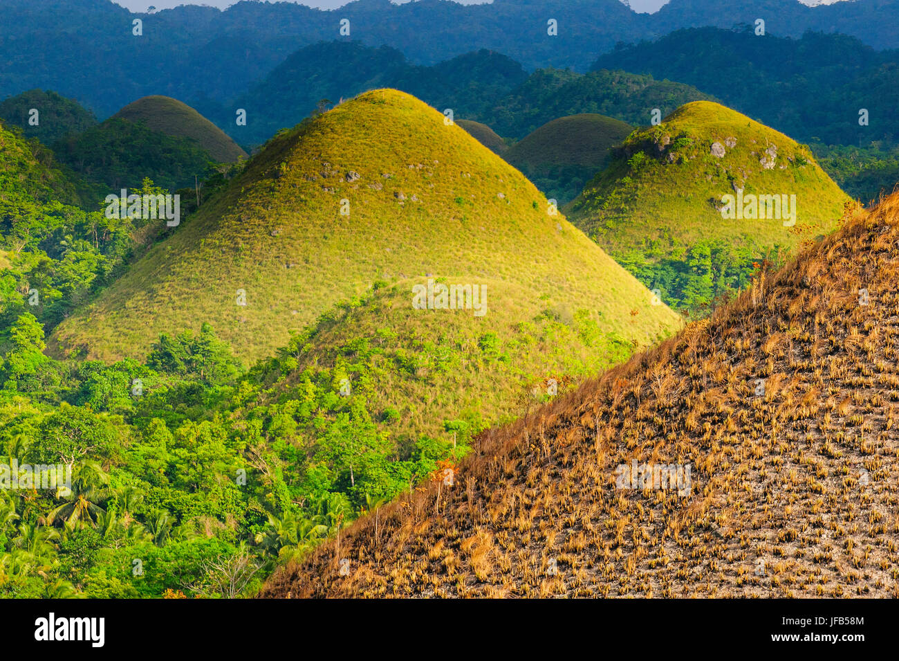 Chocolate Hills, Bohol, Philippines Stock Photo Alamy