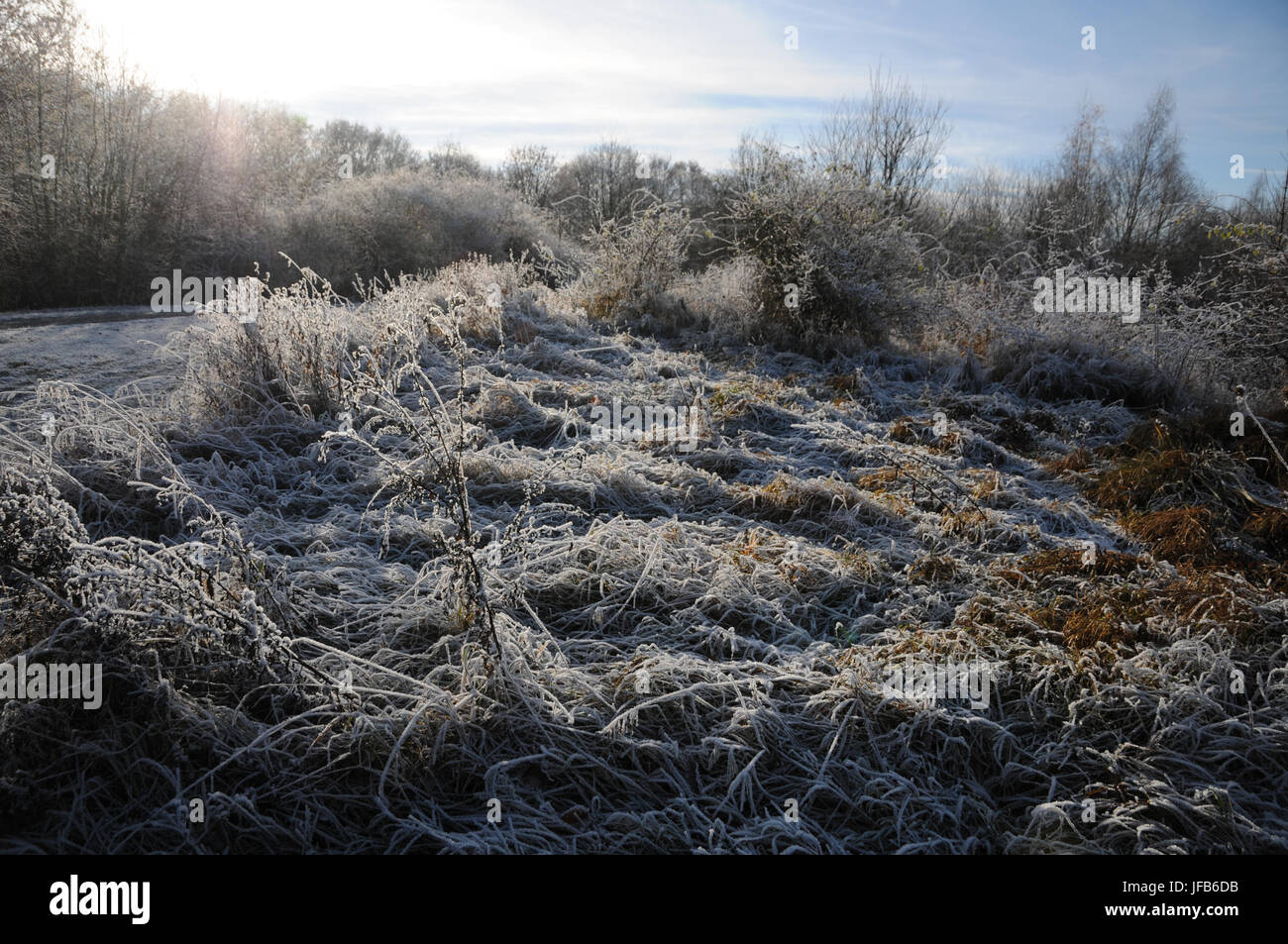 Winter Gemuse Garten Stock Photos Winter Gemuse Garten Stock