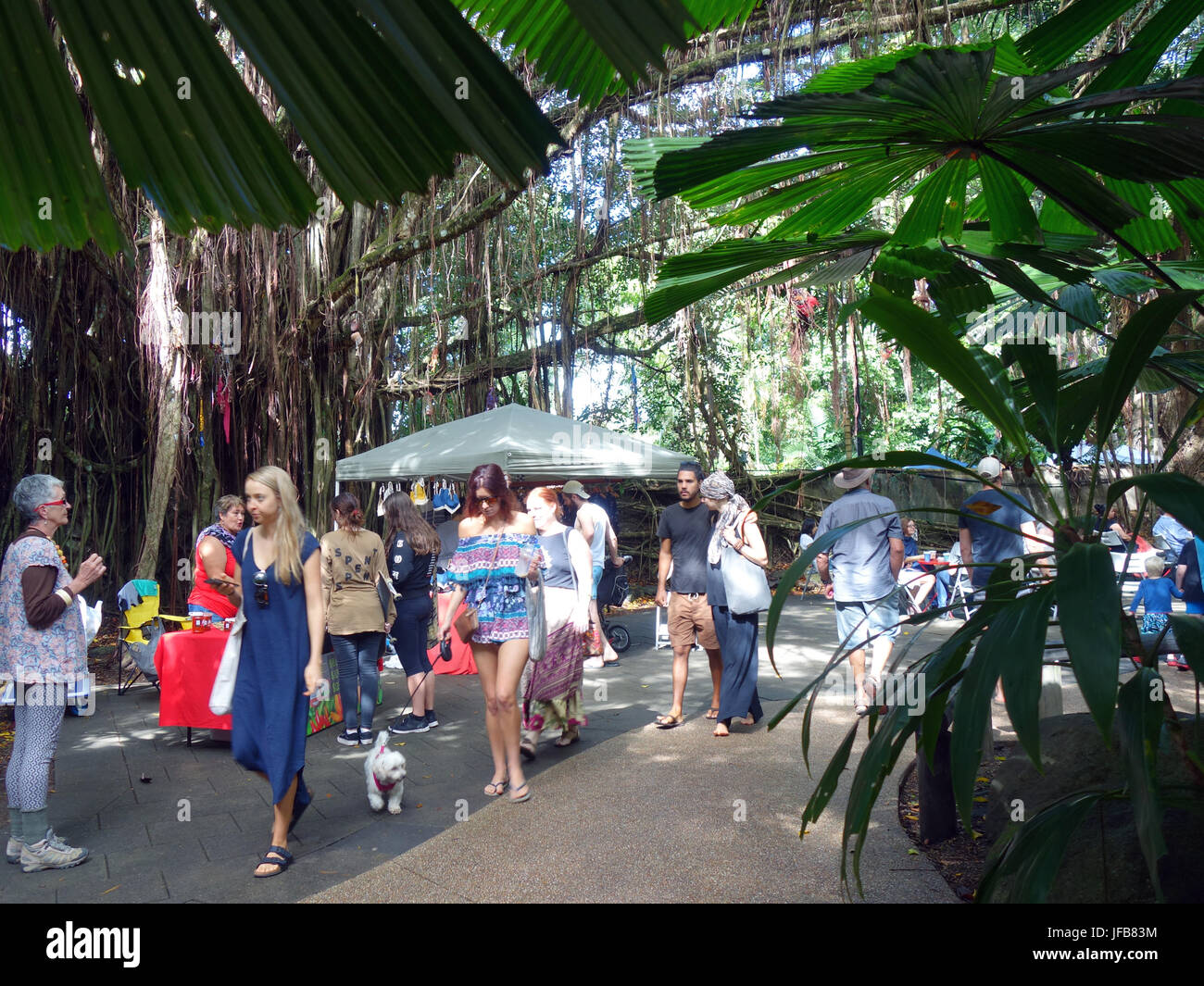 Crowd at Tanks markets, weekend markets at Edge Hill, Cairns, Queensland, Australia. No MR or PR Stock Photo