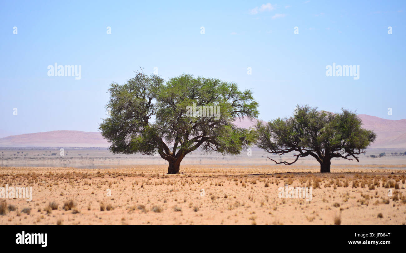 namibian landscape Stock Photo