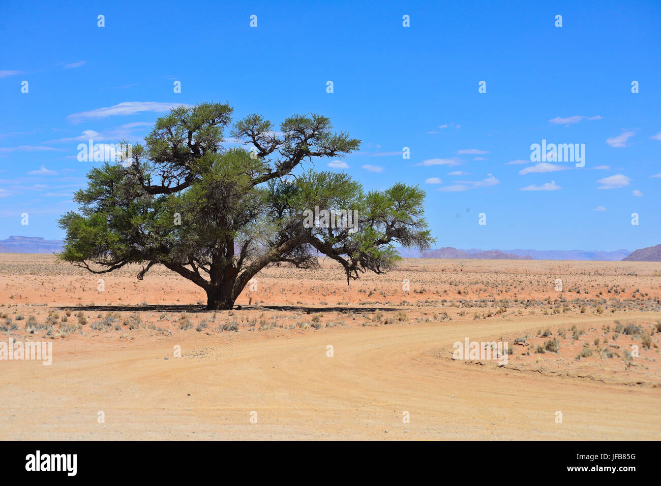 namibian landscape Stock Photo