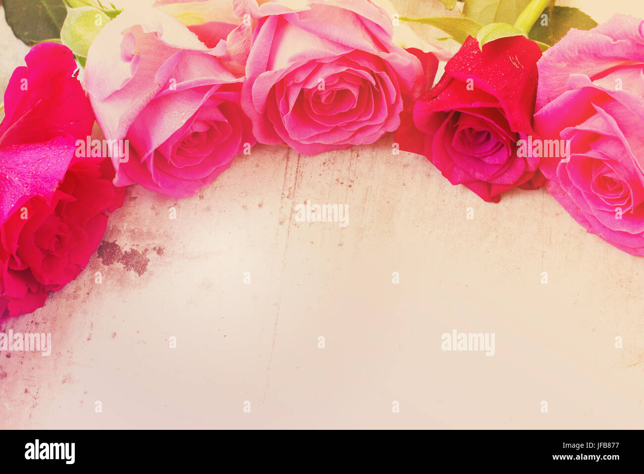 Pink fresh roses border on white wooden background with copy space ...