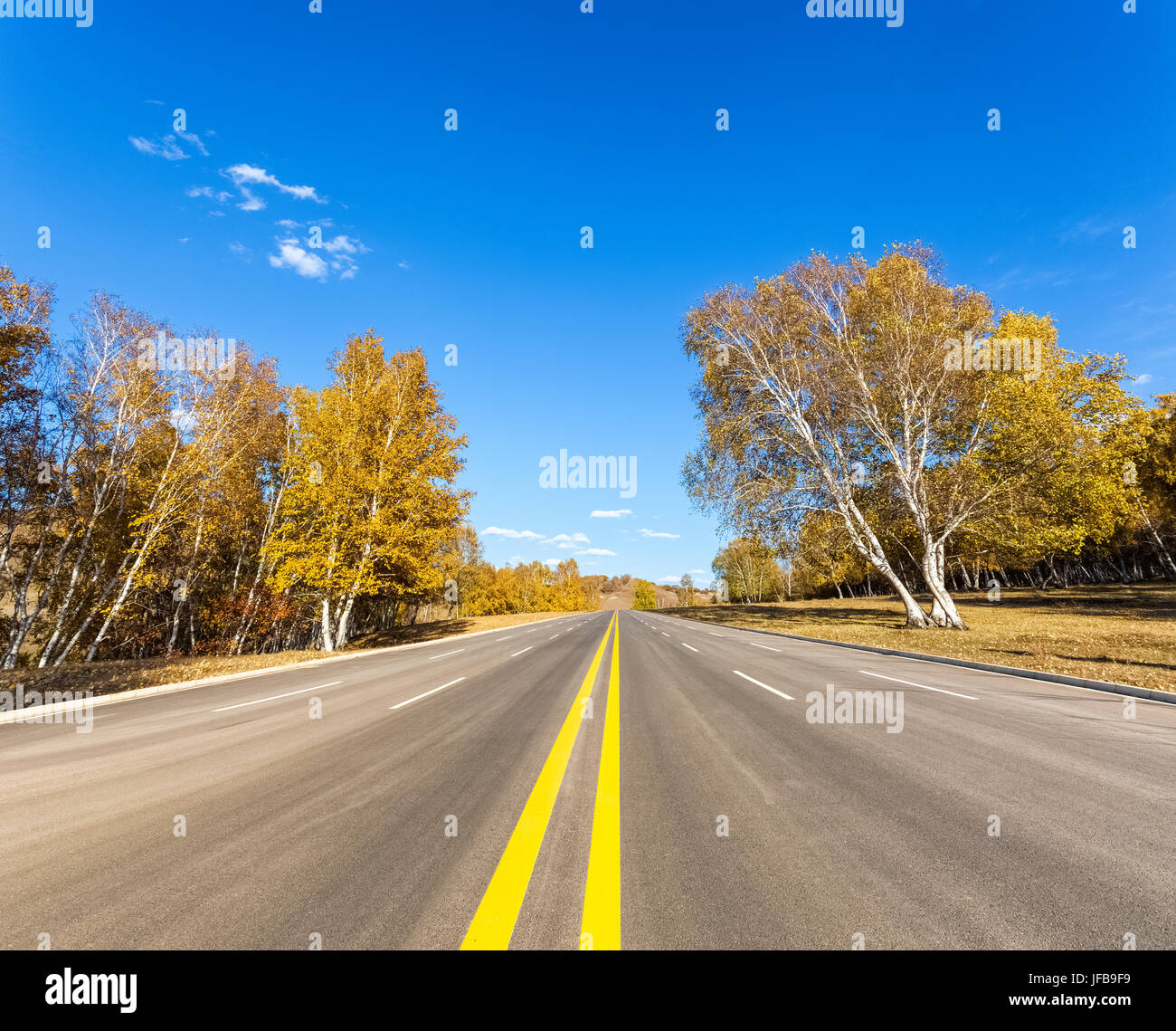 autumn forest road Stock Photo