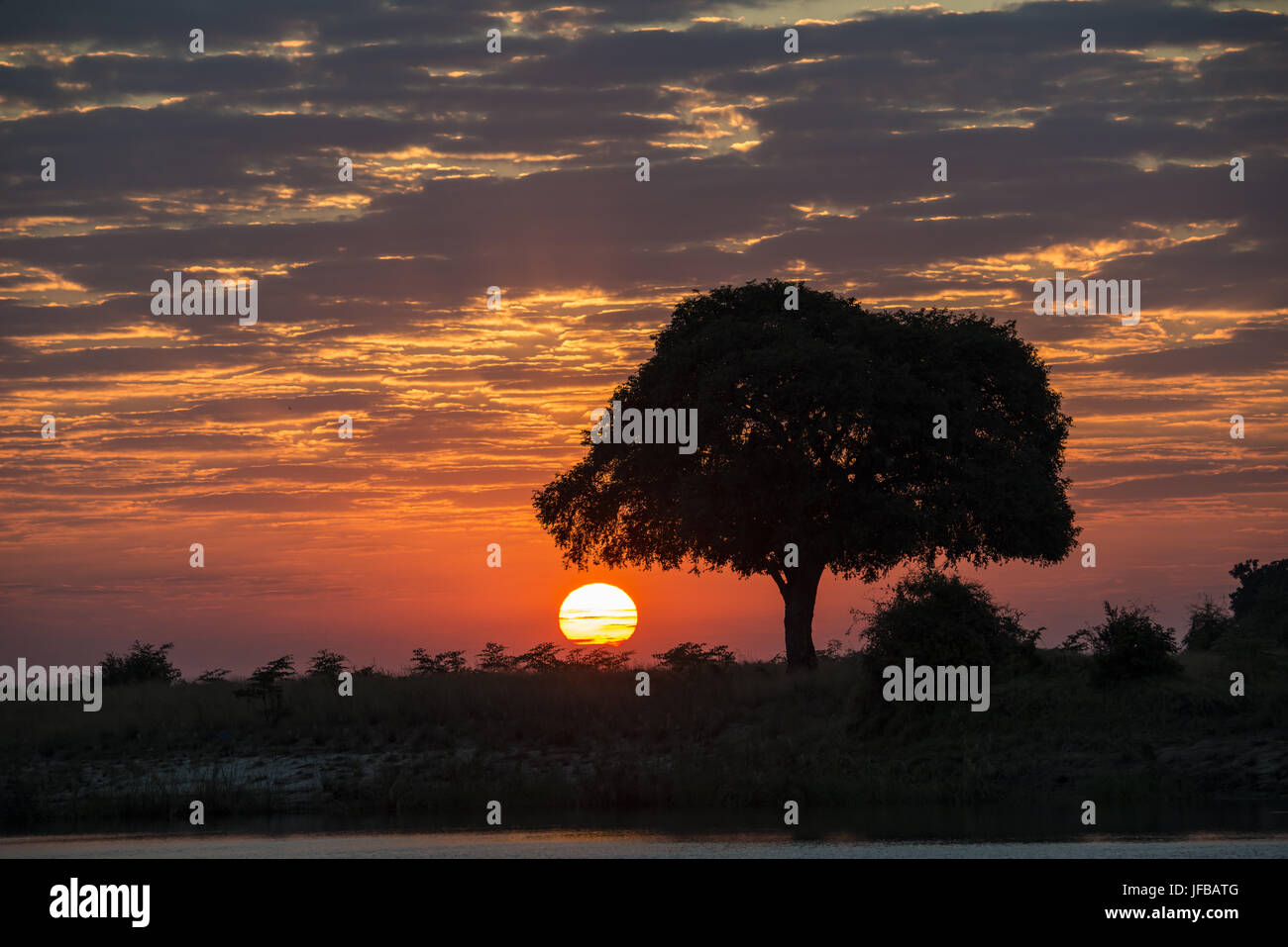 Sunset at Chobe river Stock Photo