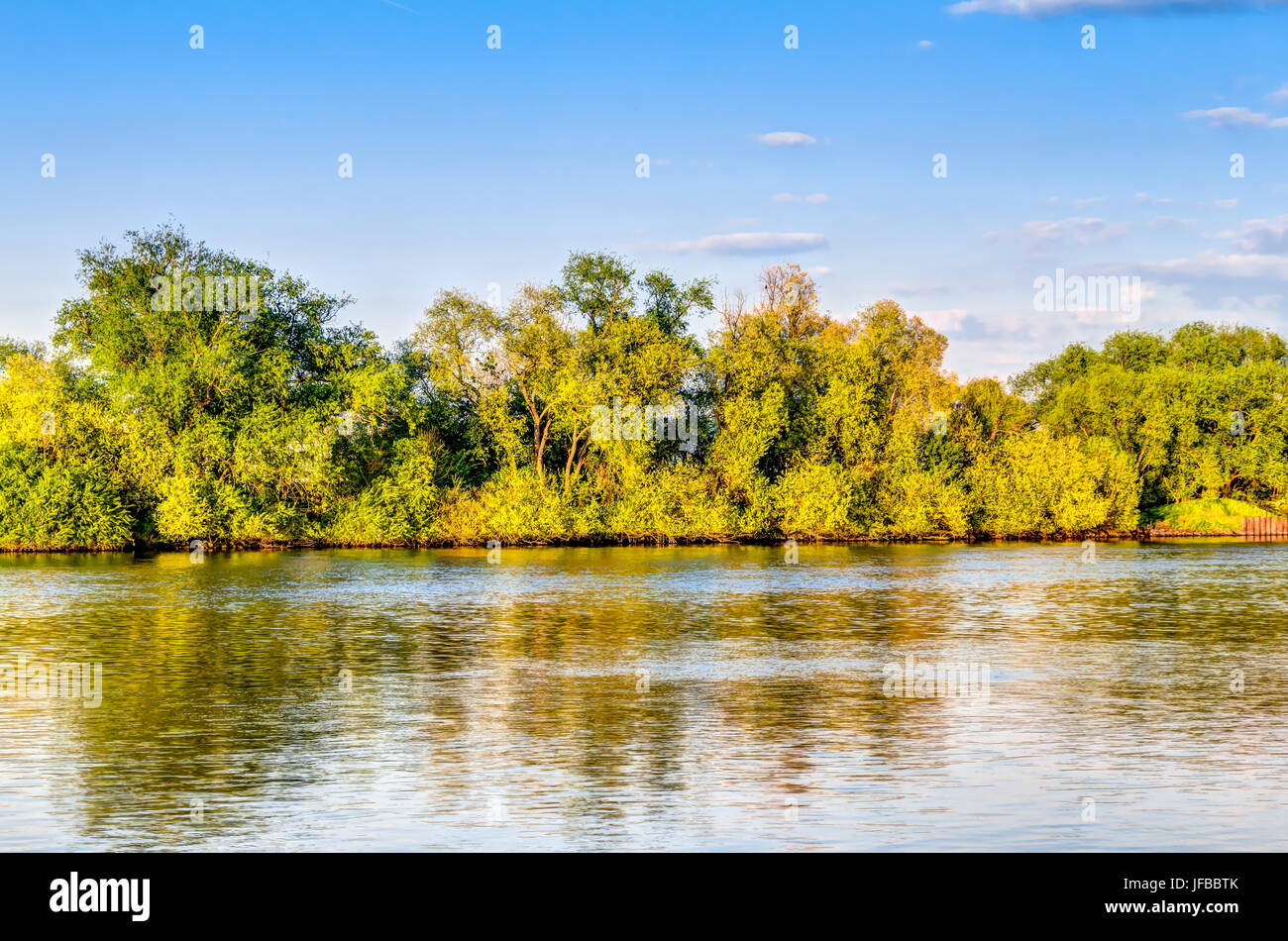 Rhine river bank Stock Photo Alamy