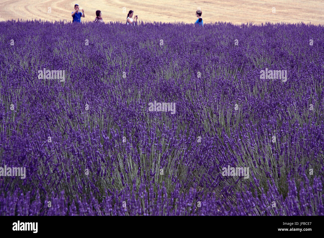 Holidays in Provence Stock Photo