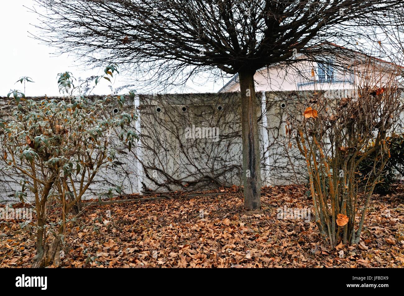 Garden idyl in the urban city Stock Photo