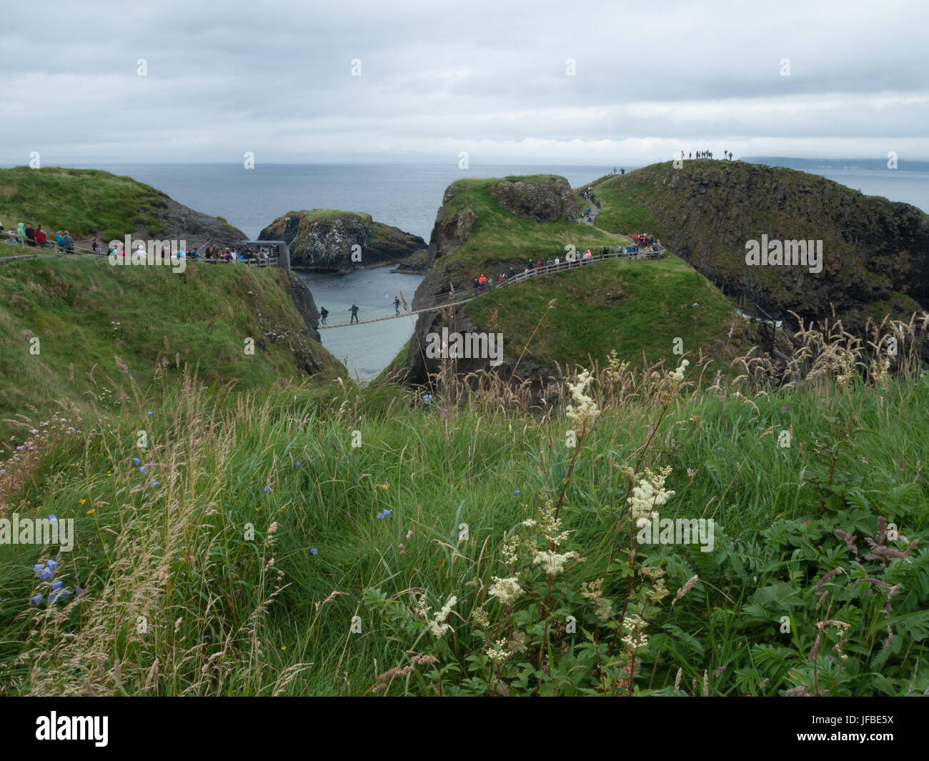 Rope bridge, Northern Ireland Stock Photo Alamy