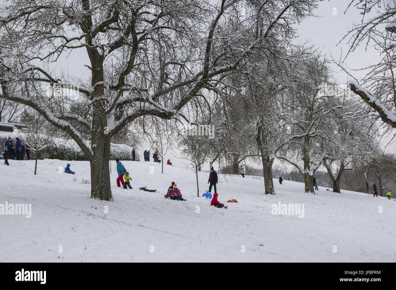 Going sledding in Schwaebisch Hall, Germany Stock Photo Alamy