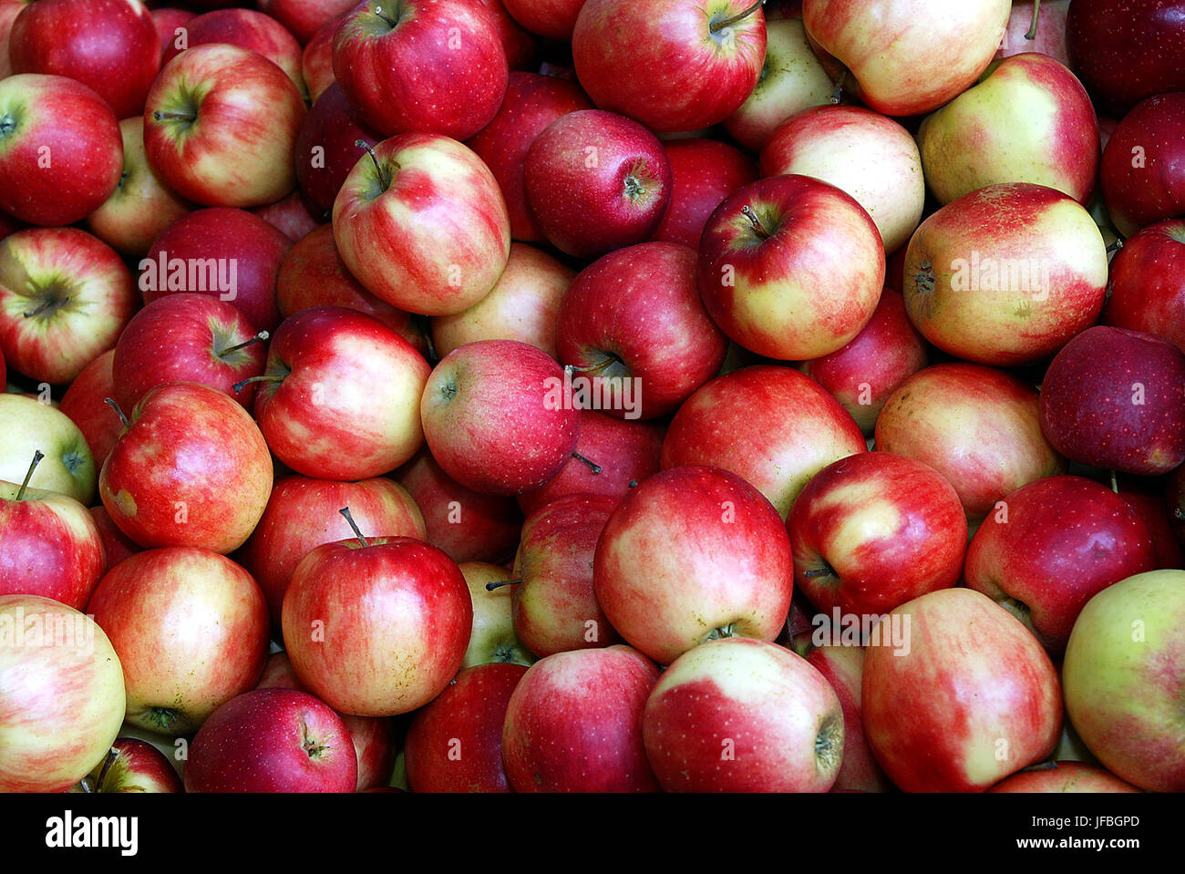 Apples Stock Photo