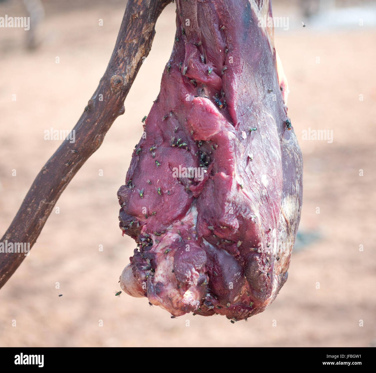 meat with flies Stock Photo