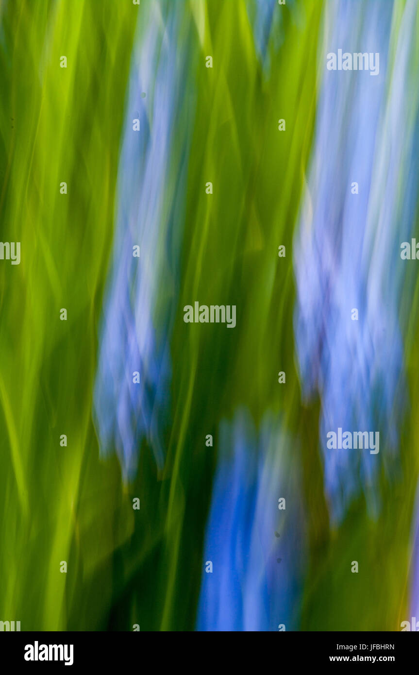 Blue green hi-res stock photography and images - Alamy