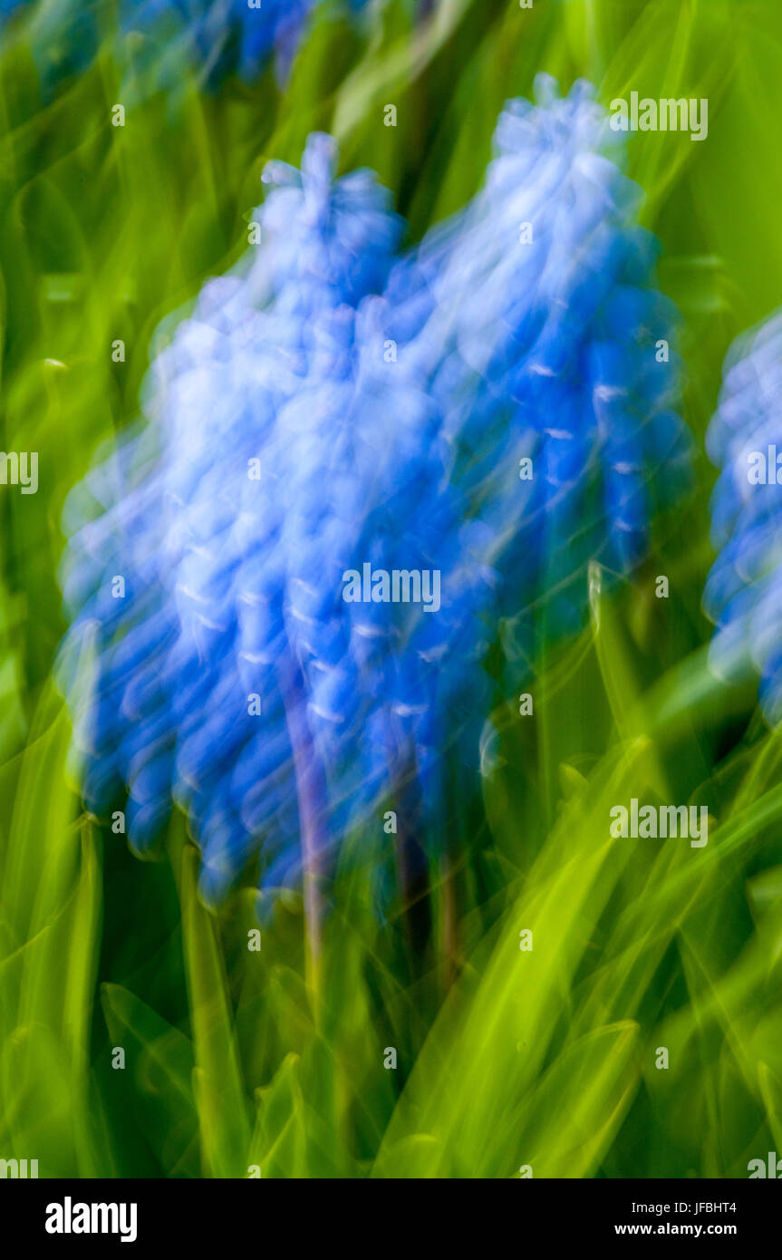 Blue green hi-res stock photography and images - Alamy