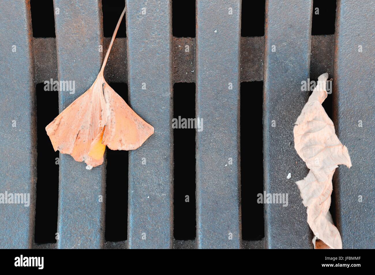 Nature on metal Stock Photo