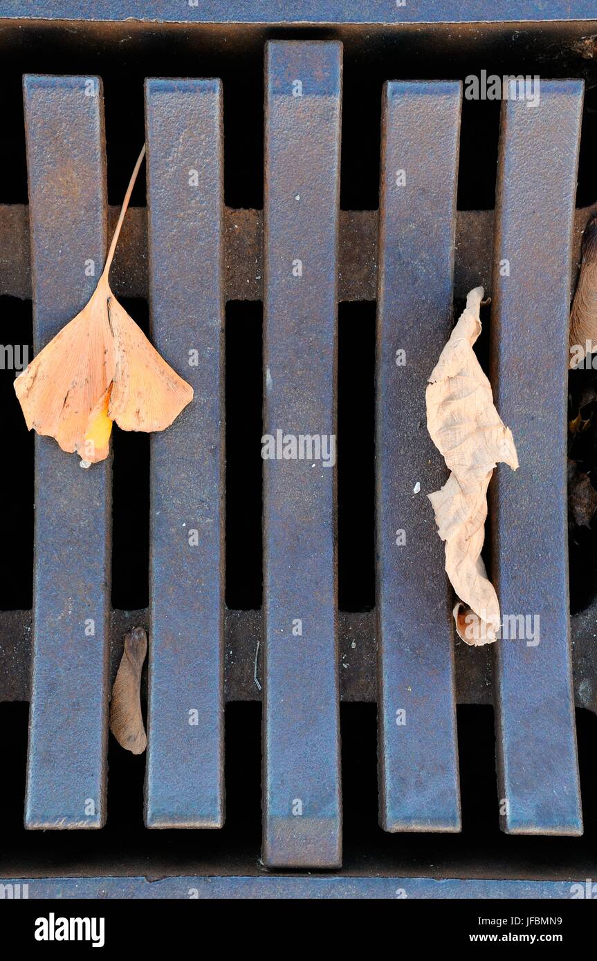 Autumn on the manhole cover Stock Photo