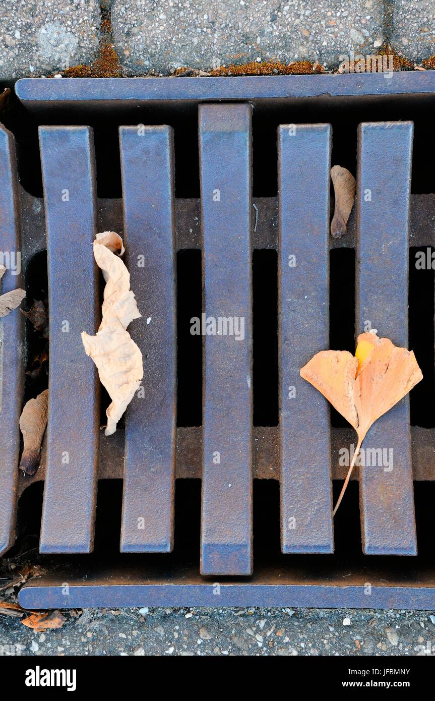 Leaves in Gully Stock Photo