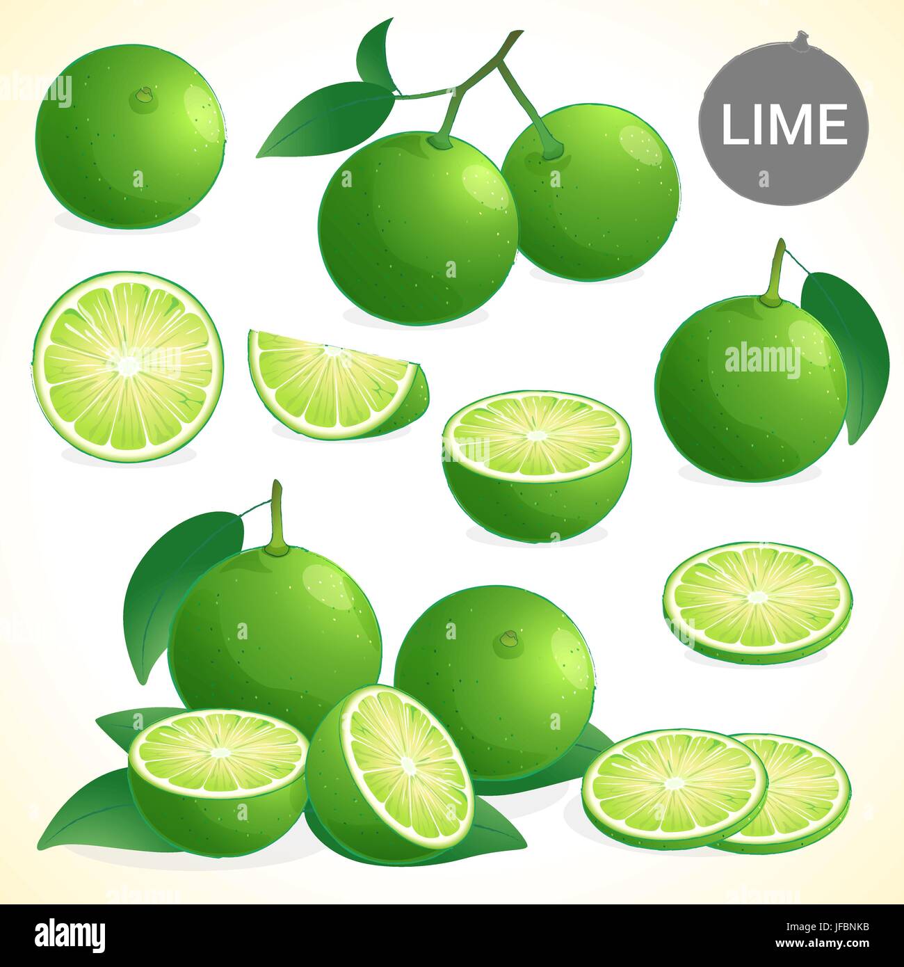 Set of lime in various styles vector format Stock Vector Image & Art