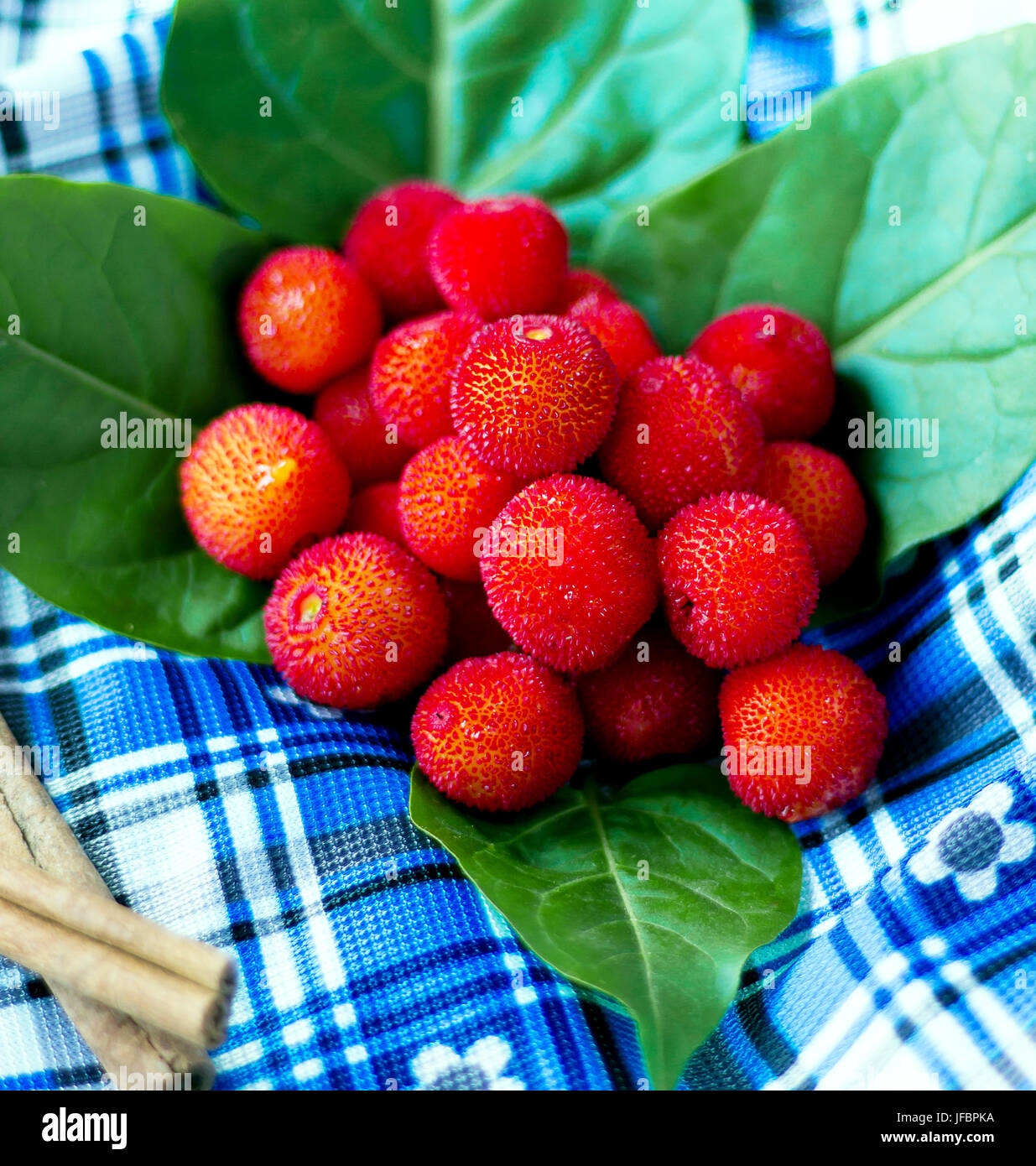 Small red ripe wild hi-res stock photography and images - Alamy