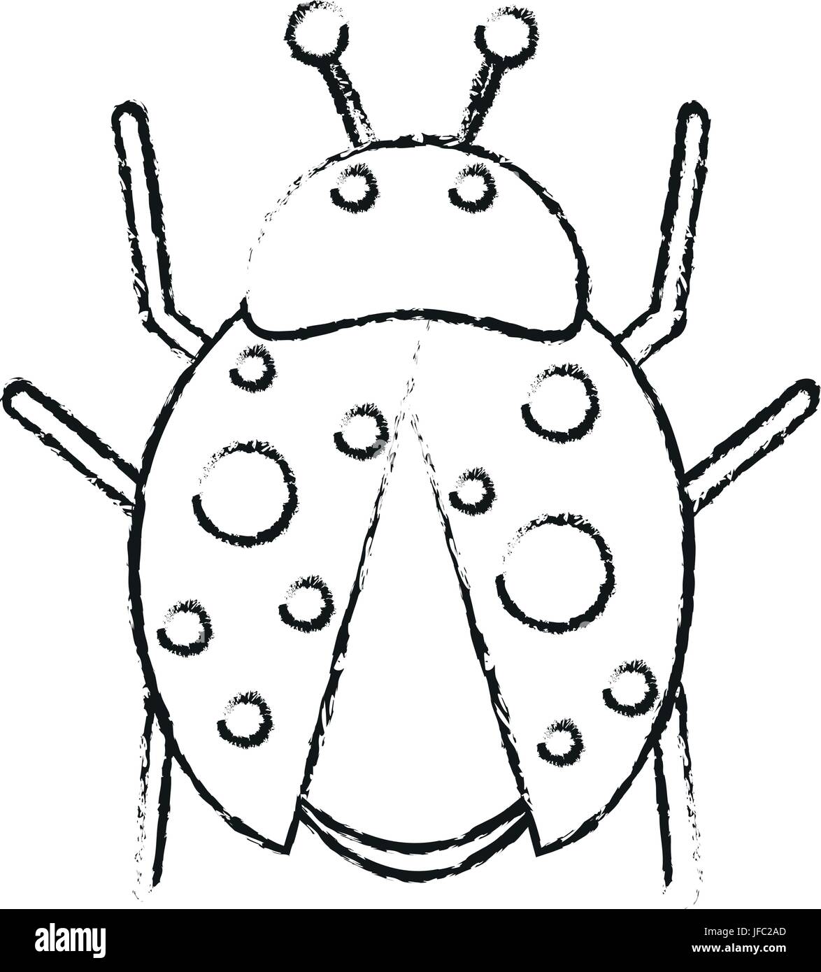 ladybug insect icon image Stock Vector Image & Art - Alamy