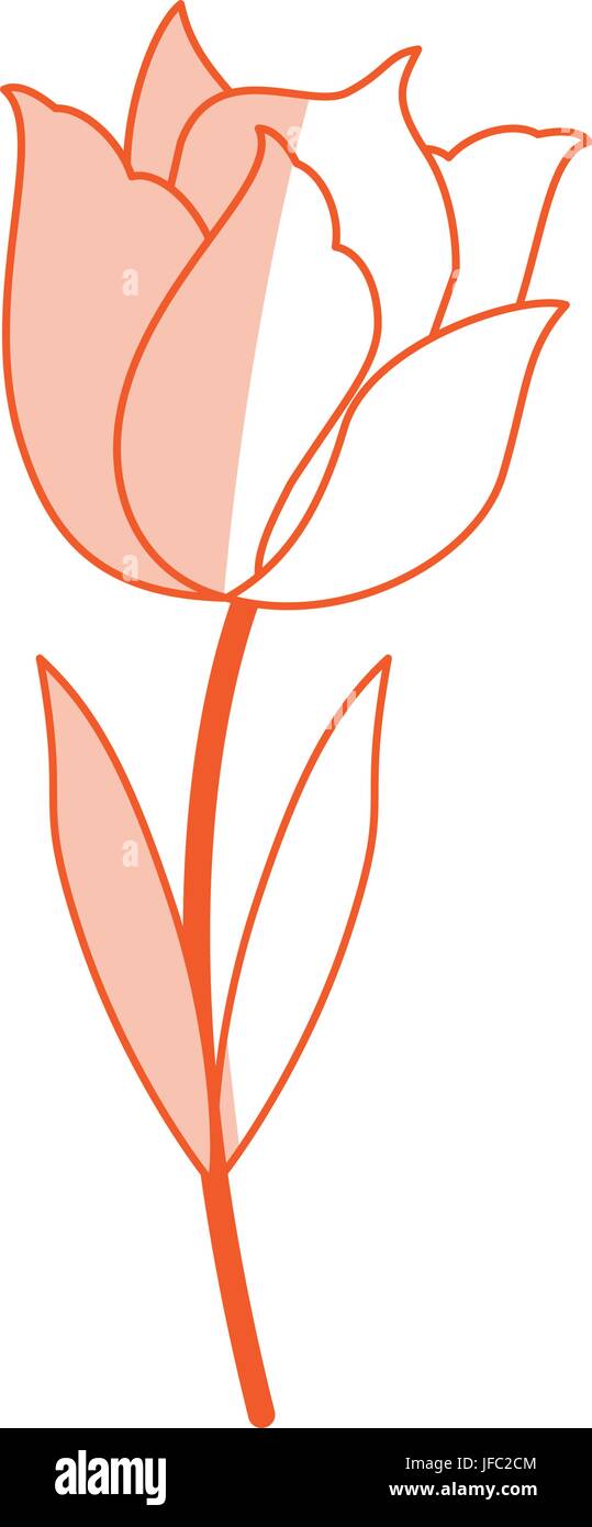 delicate flower icon image Stock Vector Image & Art - Alamy