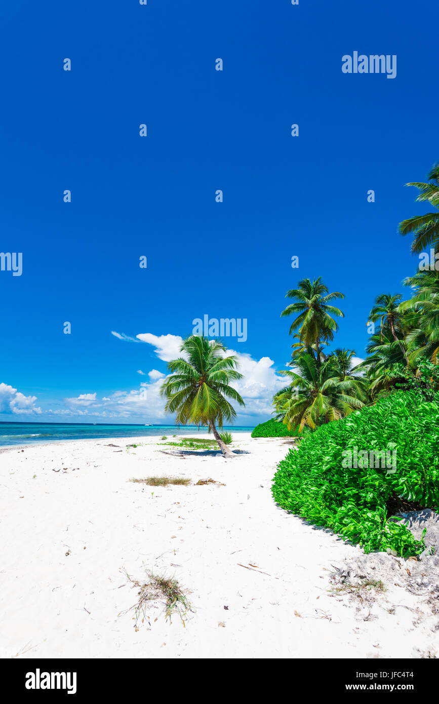 Paradise tropical hi-res stock photography and images - Alamy