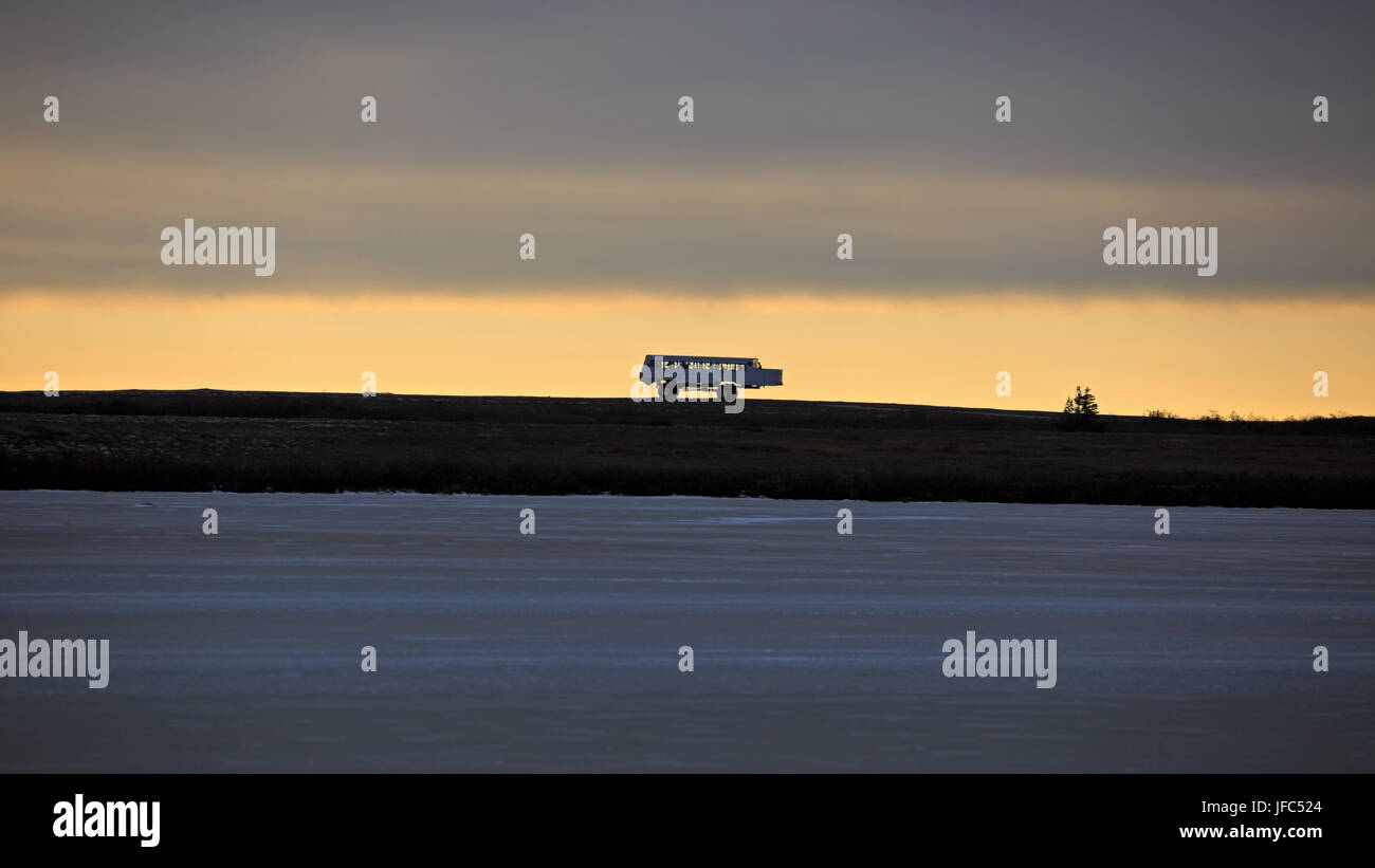 Tundra arktis hi-res stock photography and images - Alamy