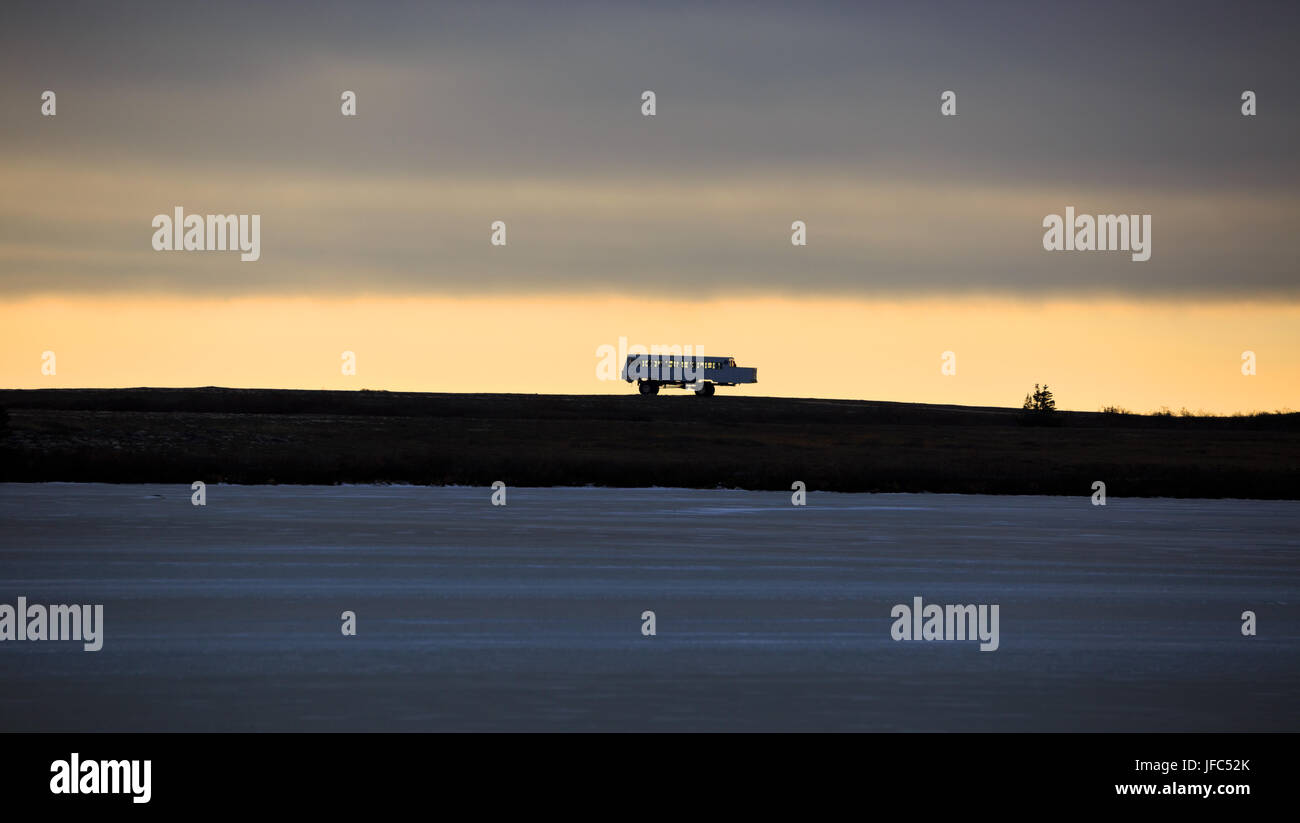 Tundra buggy hi-res stock photography and images - Alamy