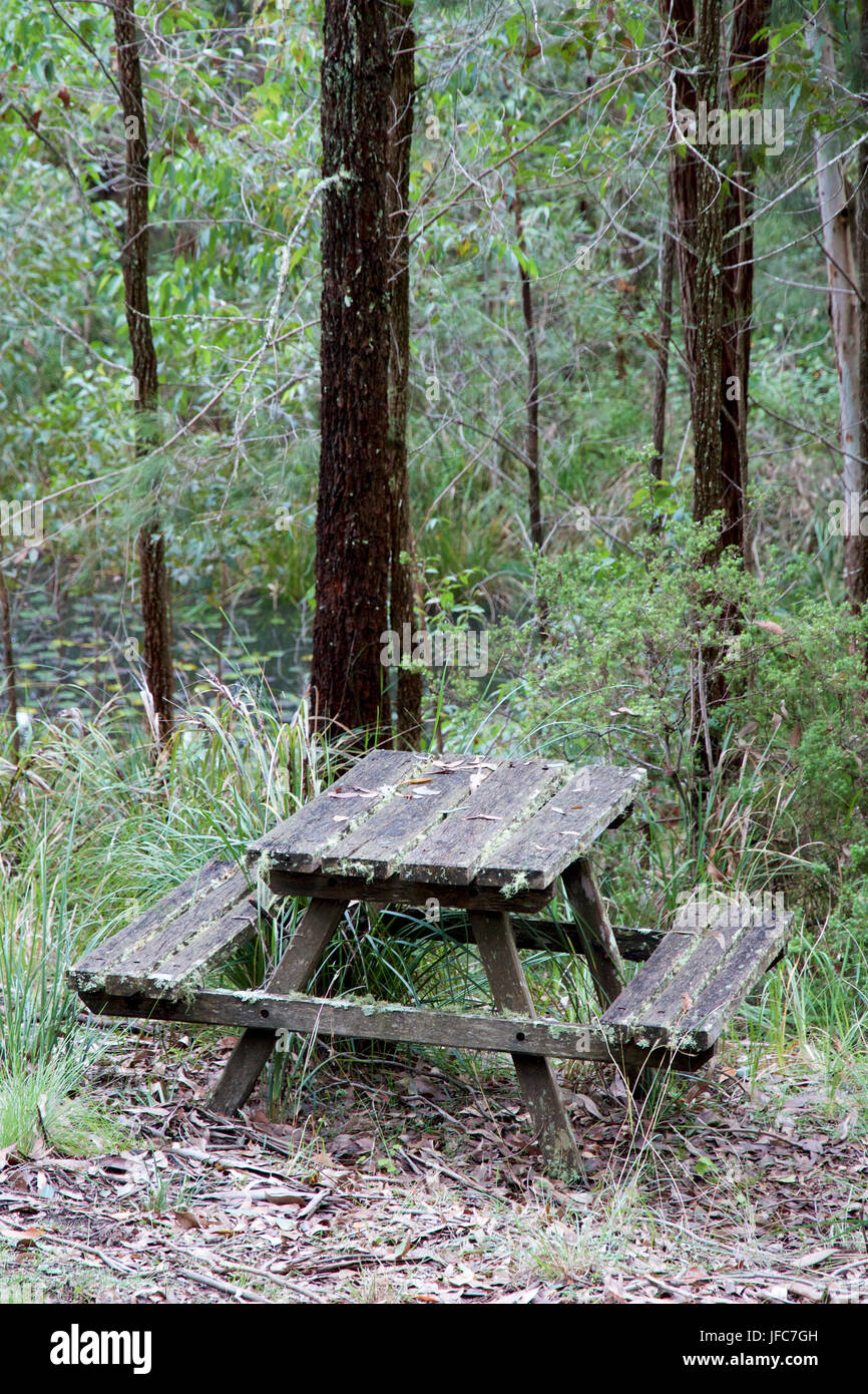 Picnic table in bushland near Dungog, NSW, Australia Stock Photo Alamy