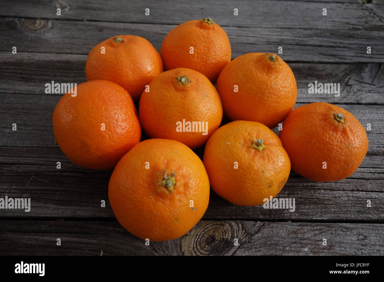 Clementina hires stock photography and images Alamy
