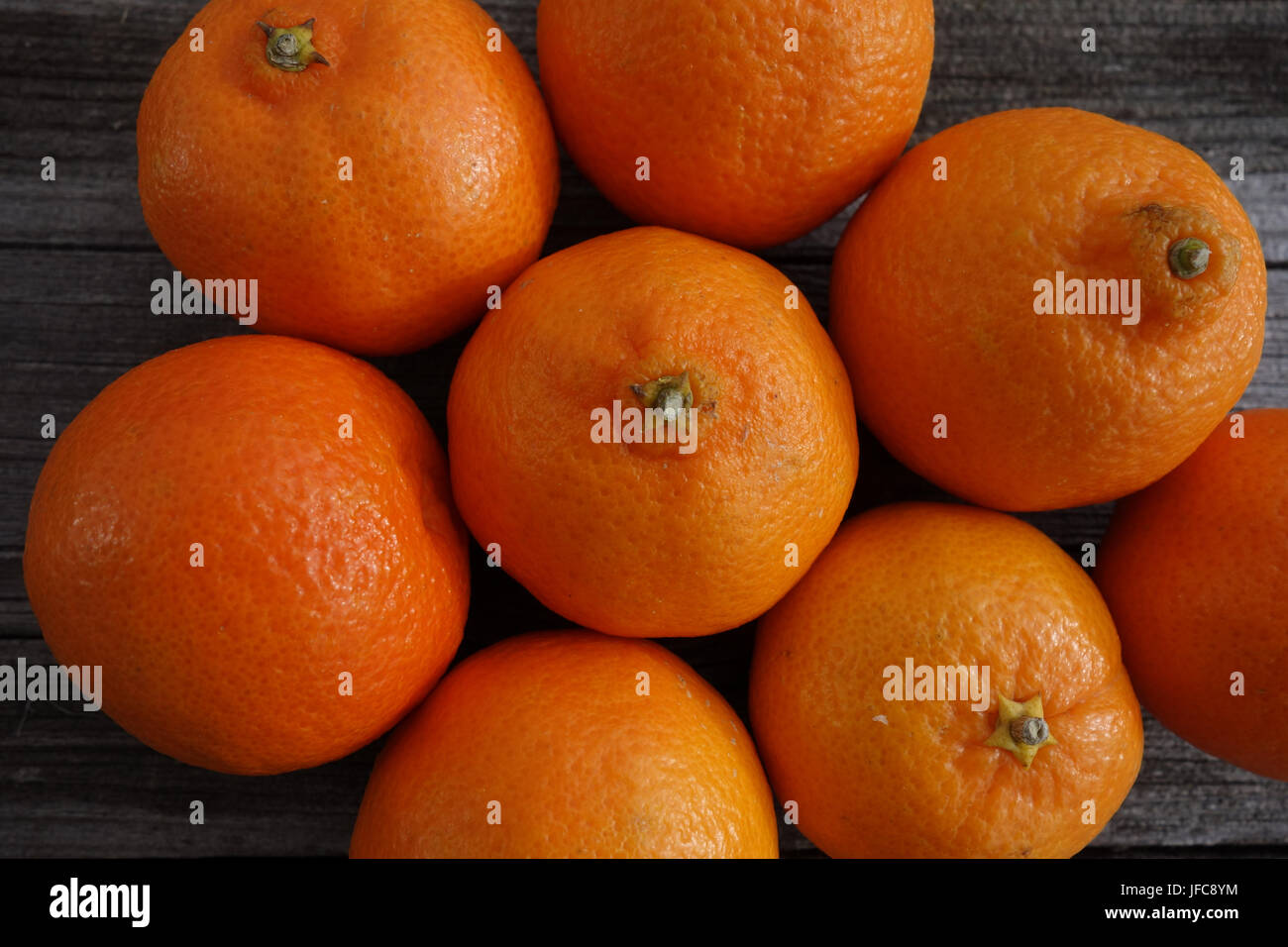 Citrus x clementina, Clementine Stock Photo Alamy