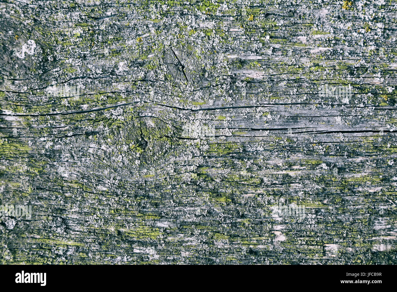Real wood panels hi-res stock photography and images - Alamy