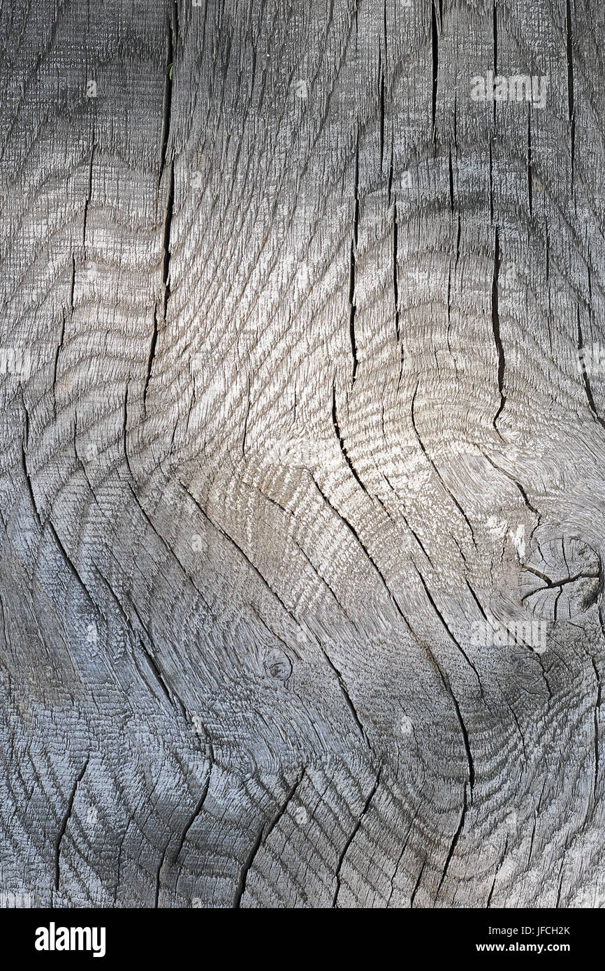interesting texture of wood plank surface, ready for your design Stock Photo