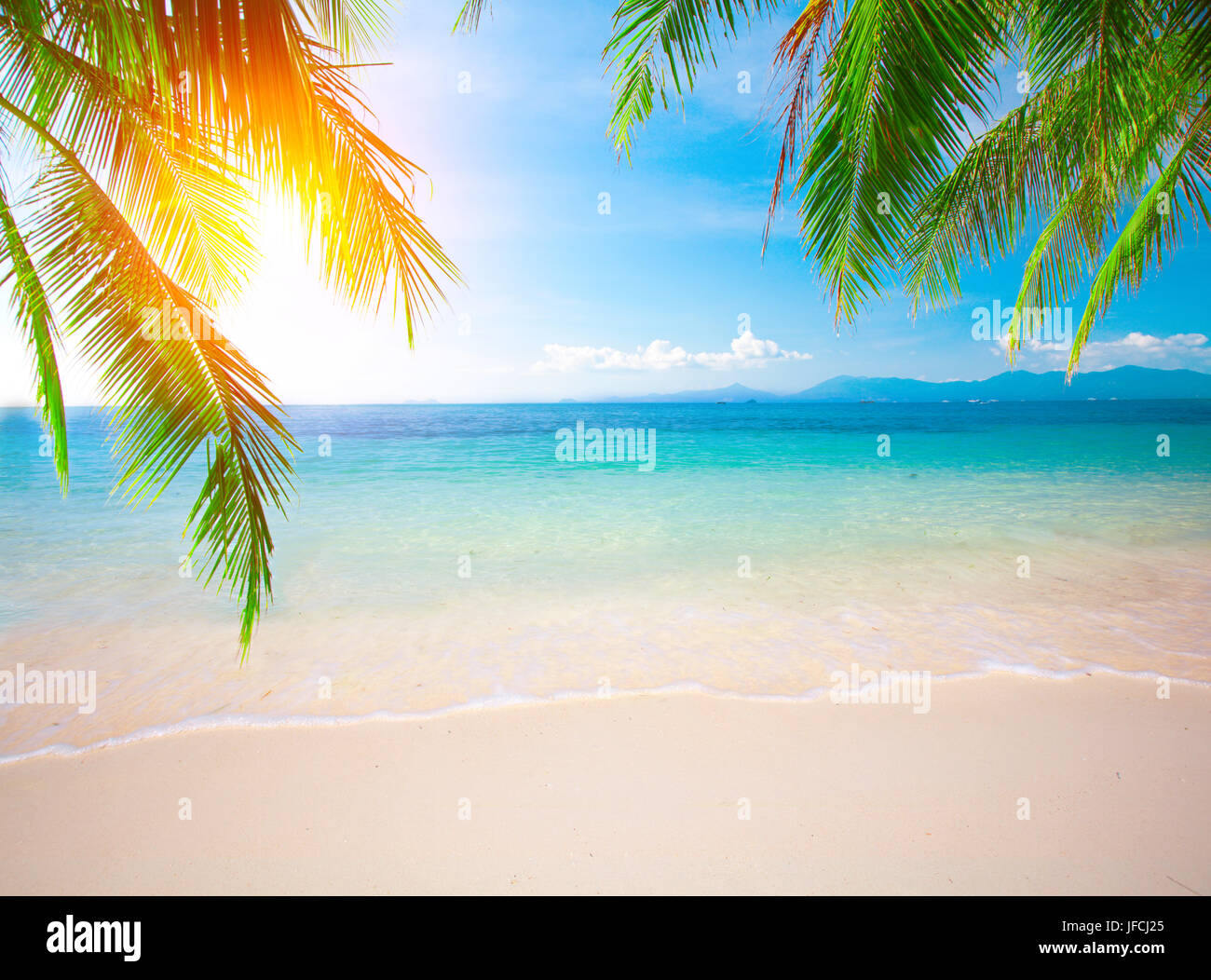 Palm and tropical beach Stock Photo - Alamy