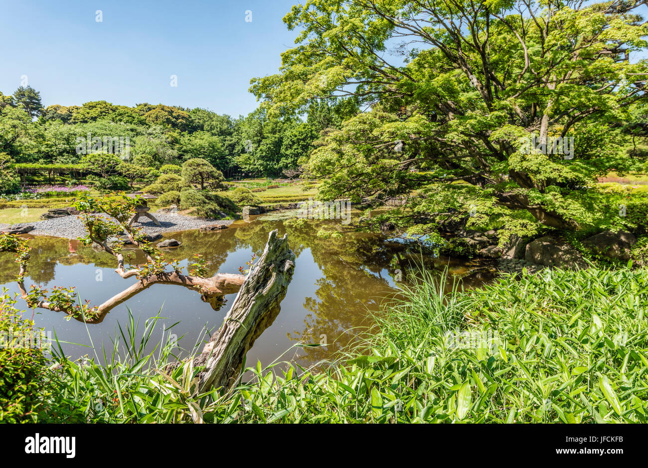 Ninomaru Garden at the East Gardens of the Imperial Palace, Tokyo, Japan Stock Photo